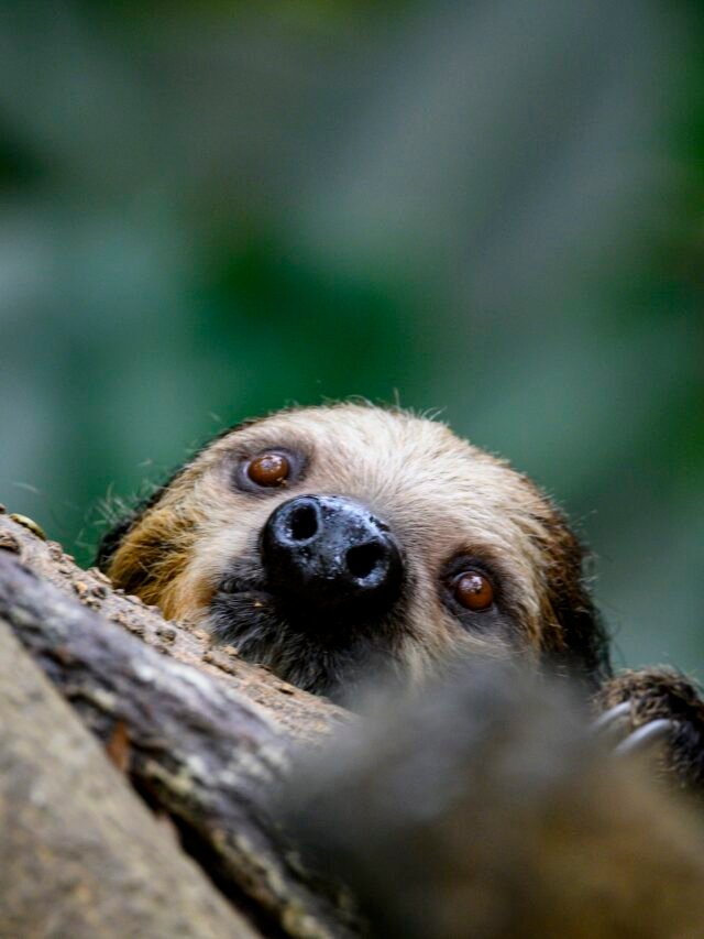 Read more about the article Do You Know ? These Mind Blowing Interesting & Fun Weird Facts