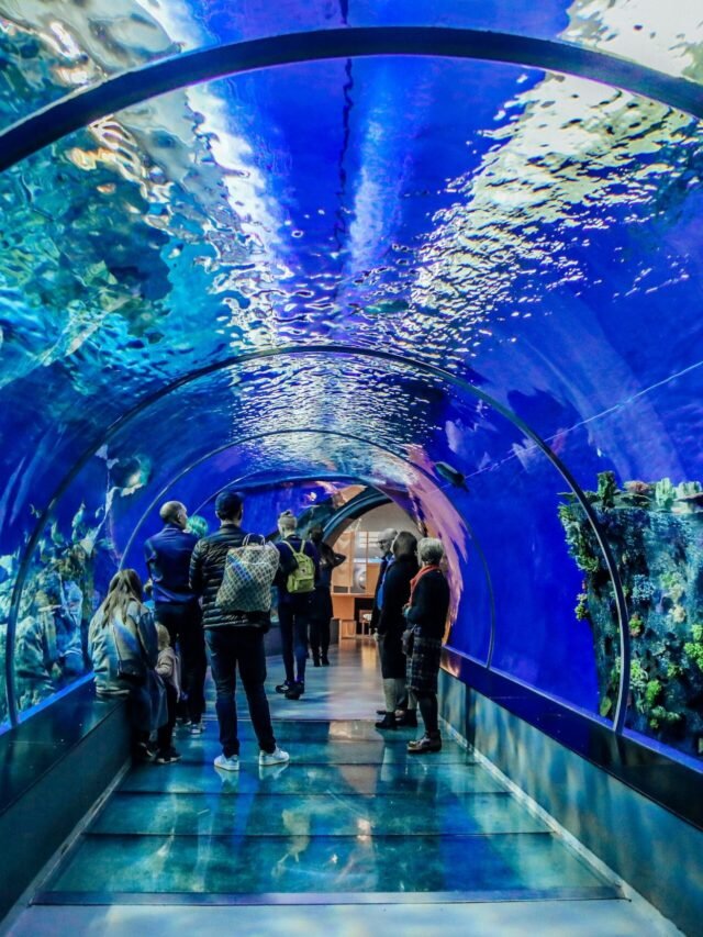 Read more about the article Do you know about India’s first underwater tunnel?
