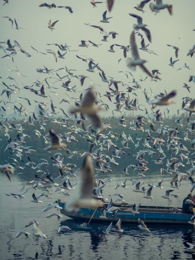 नई दिल्ली में यात्रा करने के लिए सबसे अच्छी जगह