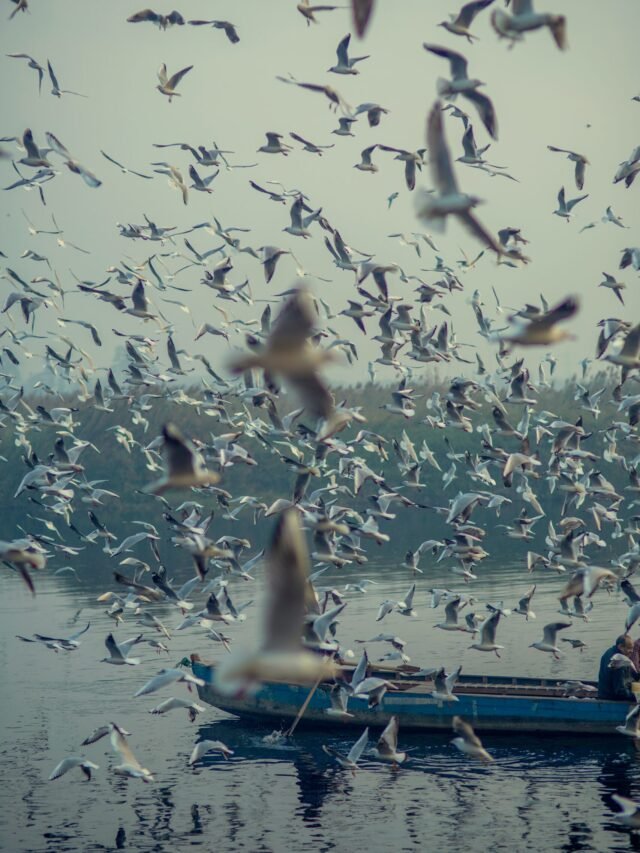 Read more about the article नई दिल्ली में यात्रा करने के लिए सबसे अच्छी जगह