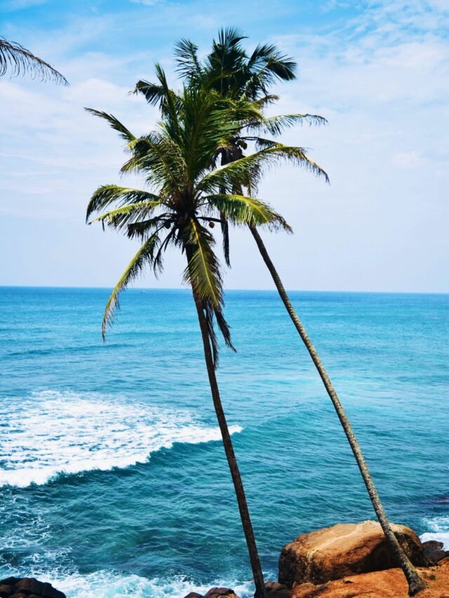 Read more about the article श्रीलंका में आया आर्थिक संकट