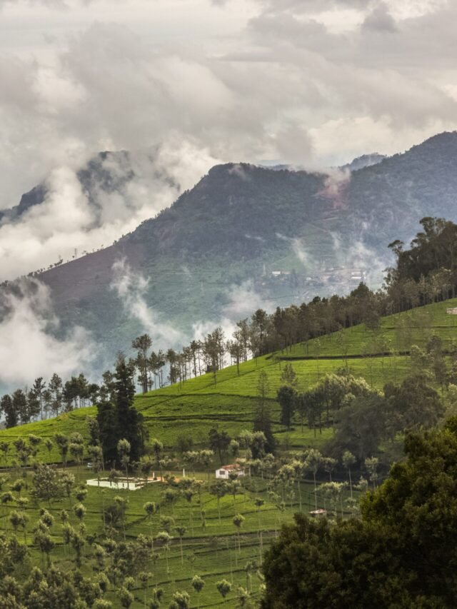 Read more about the article तमिलनाडु राज्य के बारे में कुछ रोचक तथ्य, क्या आप जानते हैं?