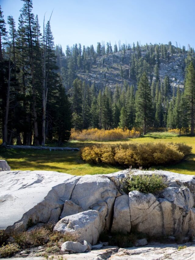 Read more about the article दुनिया के 10 सबसे मशहूर देश जो पर्यटकों के फेवरेट हैं