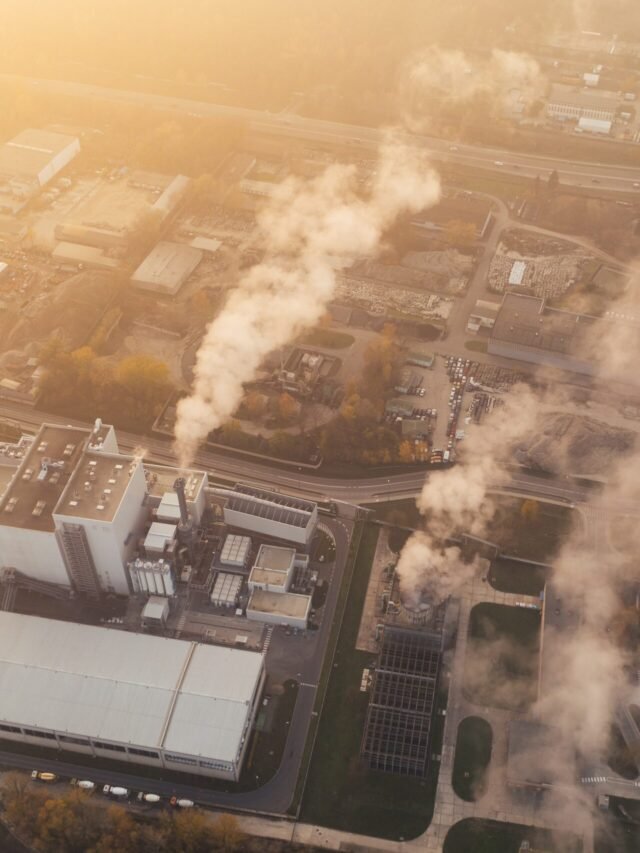 Read more about the article Do you know about global warming?