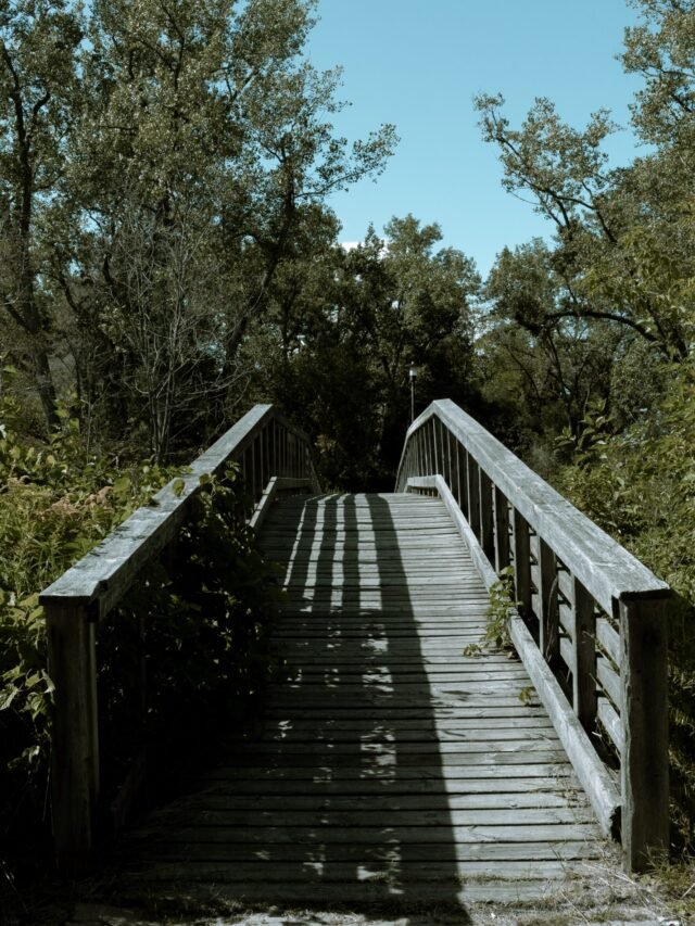 Read more about the article Do you know about the mysterious places of the earth?