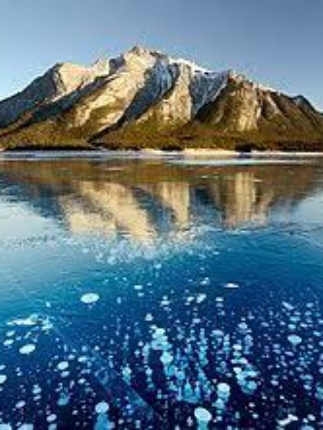 Read more about the article best beaches in the world