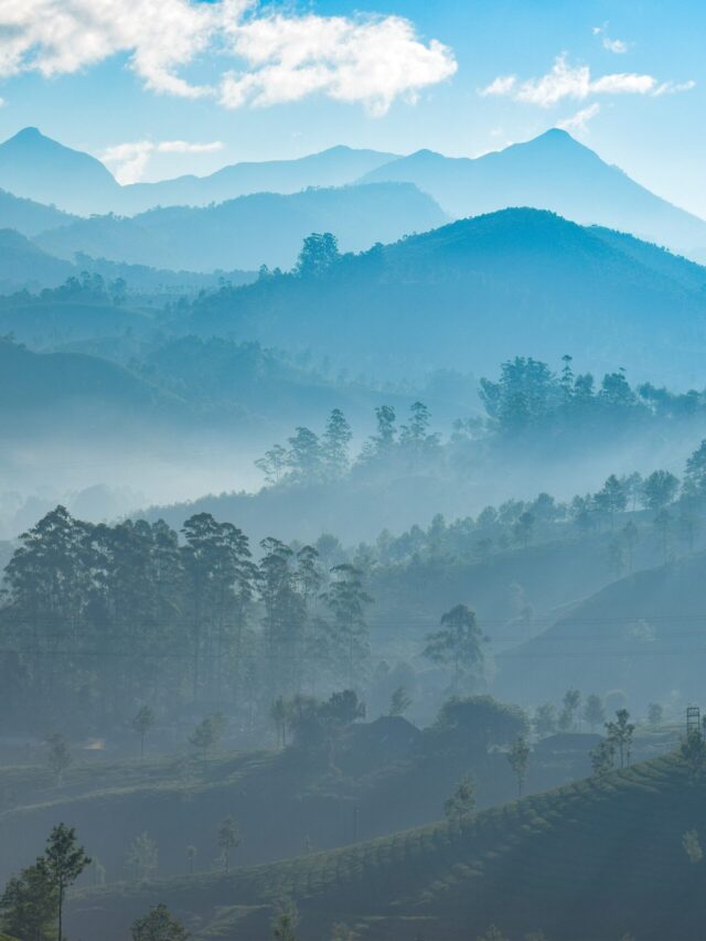 Read more about the article Interesting facts about India