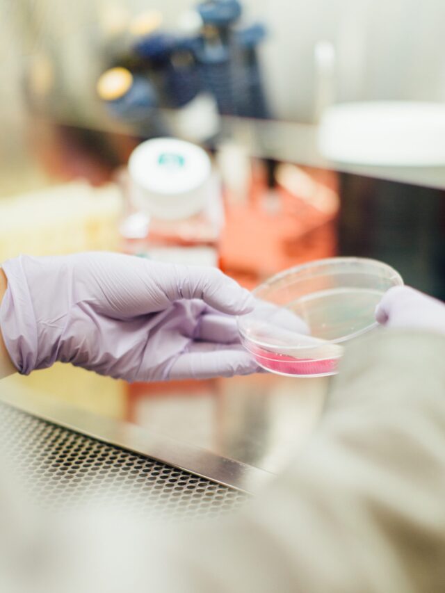 Read more about the article Foundation stone of Forensic Science University laid at Dharwad