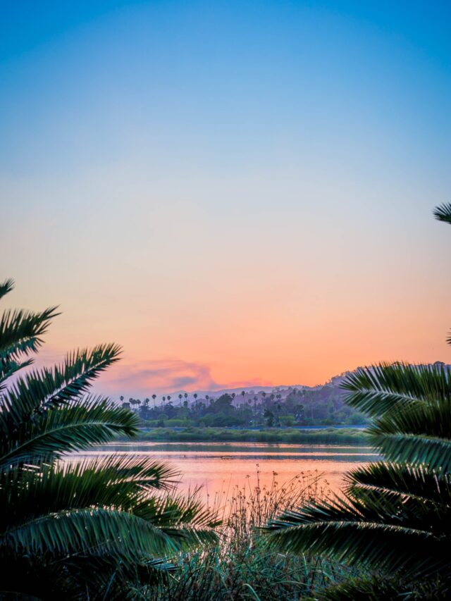 Read more about the article 7  Wonders of World